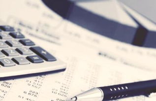 強化信息技術(shù) 提升管理會計效能 信息技術(shù)咨詢服務(wù)的關(guān)鍵作用